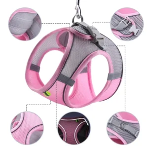 Dog Harness Leash Set for Small Dogs French Bulldog Chihuahua Pug Outdoor Walking Lead Leash Adjustable Puppy Cat Harness Vest