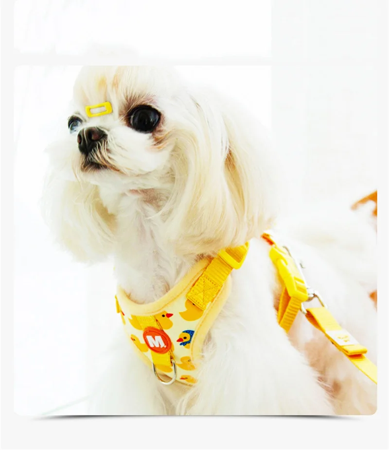Adjustable French Bulldog Pet Neck Collar for Dogs Animal Print Puppy Harness Vest Polyester Small Medium Dog Leash Accessories - Image 5