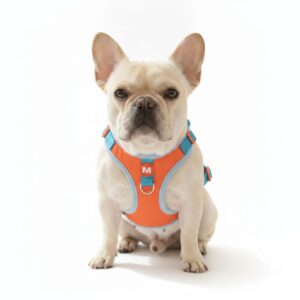 Adjustable Printed Collar