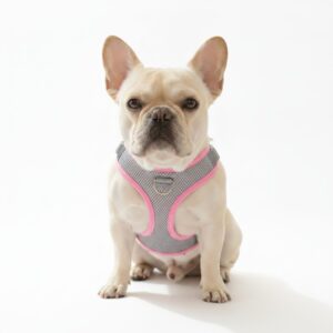 Step-In Harness Set