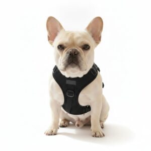 Reflective Harness