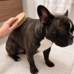 Nina sitting on a bath mat while a bristle brush passes over her back