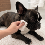 Nina lying on the grooming mat while a soft cloth gently wipes her outer cheek