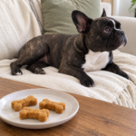 Generated illustration of dog biscuits on a plate with Nina resting on her cream sofa.