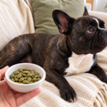 Generated illustration of plain shelled pumpkin seeds in a dish held near Nina.