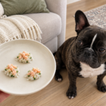 Generated illustration of Nina beside three small rice, cooked salmon and cucumber treats in her living room.