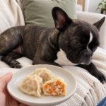 Generated illustration of plain turkey and carrot dumplings on a plate held in front of Nina resting on her cream sofa.