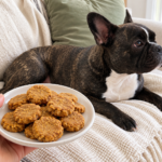 Generated illustration of pumpkin biscuits on a plate held near Nina resting on her cream sofa.