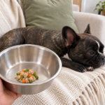 Generated illustration of a small amount of turkey, rice, carrot and green beans in a metal bowl, with Nina resting on her cream sofa.