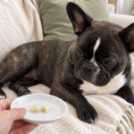 Editorial illustration of Nina looking toward two small peeled banana pieces on a white saucer.