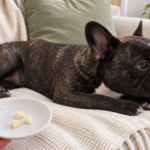 AI-generated editorial illustration of Nina on a cream sofa beside a hand-held saucer with three small peeled, core-free apple pieces.