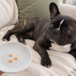 AI-generated illustration of Nina beside a hand-held dish with three tiny pieces of peeled cantaloupe.