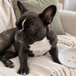 AI-generated editorial illustration of Nina on a cream sofa beside a hand-held saucer with three tiny plain cheese cubes.