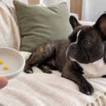 AI-generated illustration of Nina beside a hand-held dish with three tiny pieces of peeled mango.