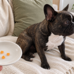AI-generated editorial illustration of Nina on a cream sofa beside a hand-held saucer with three tiny peeled, seedless orange pieces.