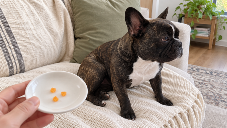 AI-generated editorial illustration of Nina on a cream sofa beside a hand-held saucer with three tiny peeled, seedless orange pieces.