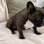 AI-generated editorial illustration of Nina on a cream sofa beside a hand-held saucer with three small peeled, core-free pear pieces.