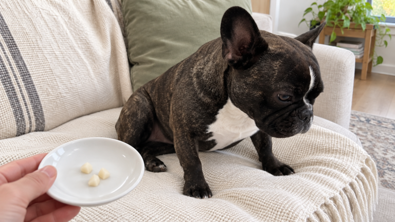 AI-generated editorial illustration of Nina on a cream sofa beside a hand-held saucer with three small peeled, core-free pear pieces.