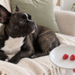 AI-generated editorial illustration of Nina on a cream sofa beside a hand-held saucer with two small raspberry halves.