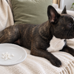 AI-generated editorial illustration of Nina on a cream sofa beside a hand-held saucer with a tiny pinch of plain cooked rice.