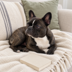AI-generated illustration of Nina curled on her cream sofa beside a plain closed book.