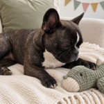 AI-generated illustration of Nina relaxing beside a soft toy with paper birthday decorations above the sofa.