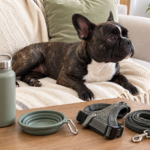 Generated illustration of Nina at home with a water bottle, travel bowl, harness and lead prepared nearby.