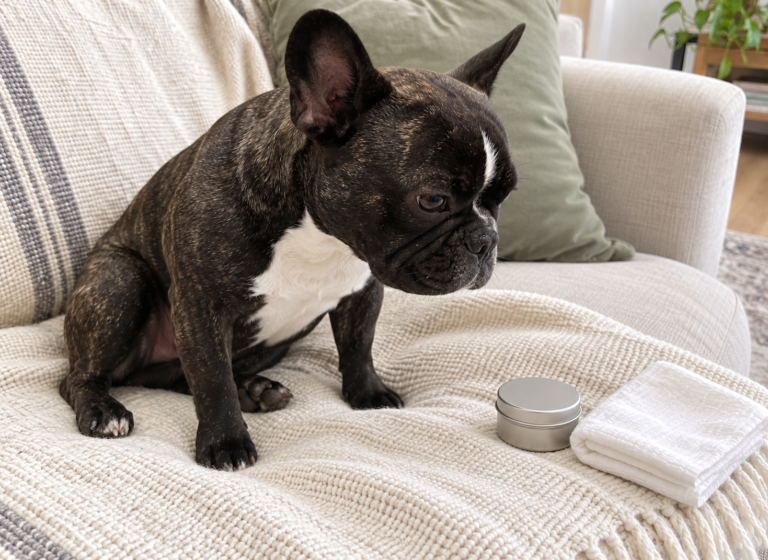 Editorial illustration of Nina looking toward a closed unbranded tin and folded white cloth.
