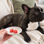 Editorial illustration of Nina beside a white saucer holding two seedless, rind-free watermelon pieces.